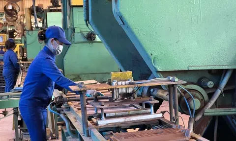 Đông Triều (Quảng Ninh): Bảo vệ môi trường nơi cửa ngõ miền Tây