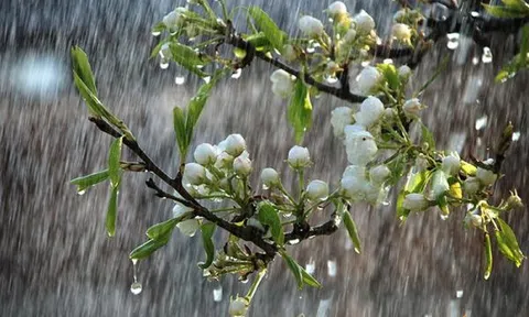 Lại đến với mùa xuân