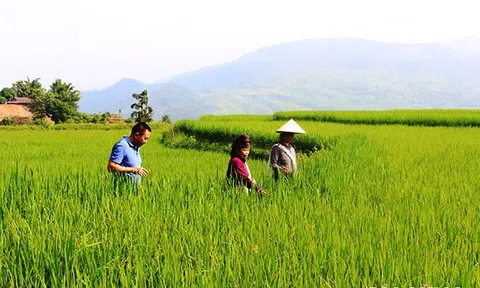 Tỉnh Sơn La chú trọng phát triển chuỗi cung ứng thực phẩm an toàn