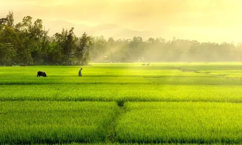 Ninh Bình: Xác định và phát huy thế mạnh vùng kinh tế sinh thái nông nghiệp