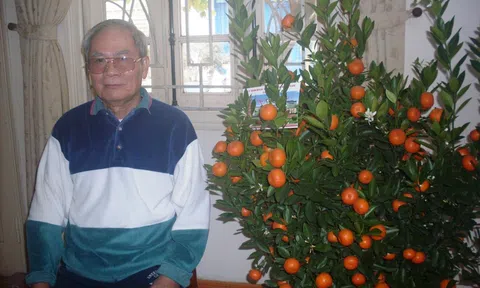 Tết lại tiếp Tết, Năm lại tiếp Năm với những bớt, thêm thật “đáng yêu”?