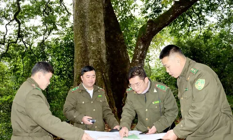 Hà Giang: Huyện Mèo Vạc Nâng cao nhận thức bảo vệ rừng cho người dân