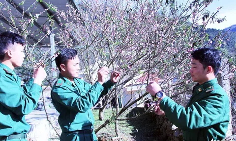 Hương vị Tết của những đứa con xa quê