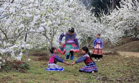 Lễ Têt của người Hmông