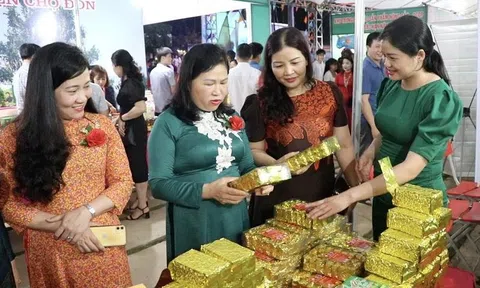 Bắc Kạn: Năm 2023: Xây dựng kế hoạch nâng cao hiệu quả thu hút đầu tư