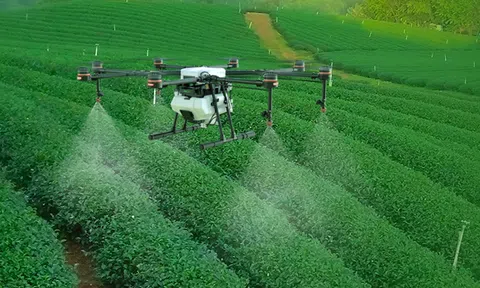 Những điều cần chú ý trong việc sử dụng thuốc Bảo vệ thực vật