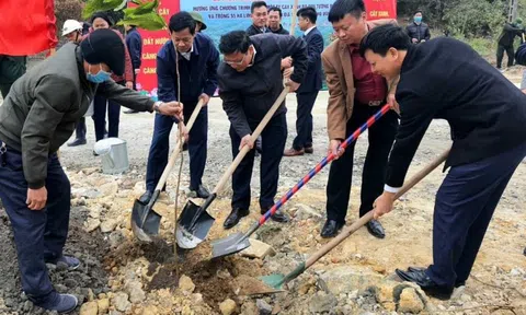 Quảng Ninh: Trên 174 ha cây xanh được trồng mới nhân dịp phát động Tết trồng cây