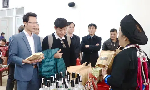 Lai Châu: Nâng tầm nông sản địa phương nhờ triển khai hiệu quả Chương trình OCOP