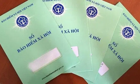 Các chính sách có hiệu lực từ tháng 2/2023