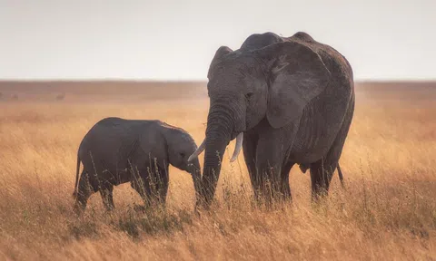 Đừng so sánh người này với người khác