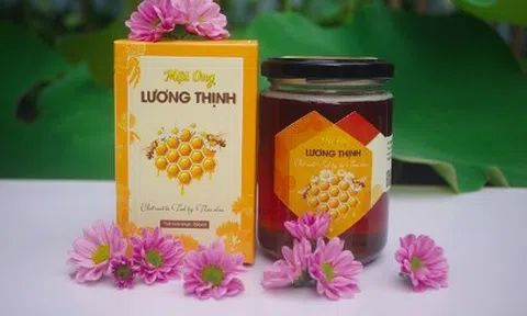 Mật ong Lương Thịnh (Yên Bái): Món quà vô giá của thiên nhiên