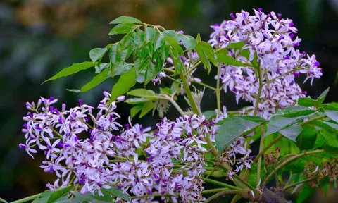 Tư duy logic giúp nhận thức chính xác