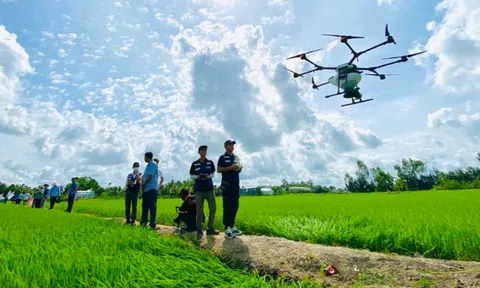 AgriDrone dùng 3.000 máy bay không người lái phun thuốc trừ sâu cho đồng lúa, vườn sầu riêng: Chỉ 8.000-10.000 đồng/lít, tăng trưởng 100%/năm