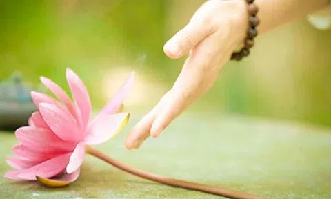 Buông bỏ mới gạt được muộn phiền