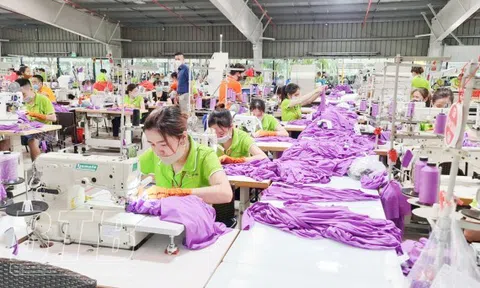 Xuân sớm trên nhà máy công trường vùng đất lúa
