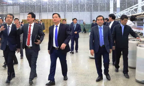 Thái Bình: Tập trung thi đua sản xuất, kinh doanh ngay từ những ngày đầu năm mới