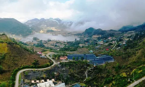 Đến Sìn Hồ ngắm vùng trồng Sâm Lai Châu và khu nghỉ dưỡng tuyệt đẹp