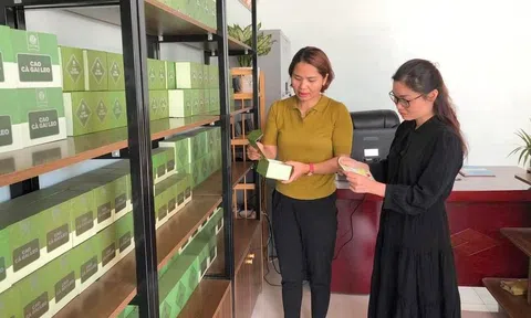 Hòa Bình: Chuyển đổi số ngành Công Thương góp phần phát triển thương mại điện tử