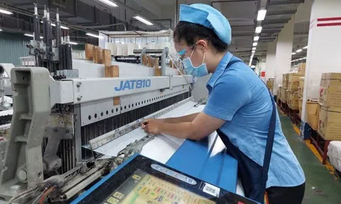 Các thị trường nhập khẩu ngày càng quan tâm đến yếu tố tăng trưởng xanh