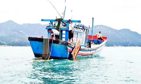 Hải Phòng: Tích cực ngăn chặn tình trạng sử dụng xung điện, chất độc, chất nổ, nghề và ngư cụ cấm trong khai thác thủy sản