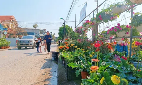 Trồng hoa để phát triển du lịch đang thịnh hành ở Quảng Ninh