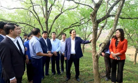 Phú Thọ: Huy động sức mạnh toàn dân xây dựng Phù Ninh trở thành huyện nông thôn mới vào năm 2025