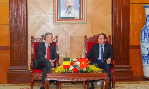 Tăng cường quan hệ hợp tác Hải Phòng và Vương quốc Bỉ