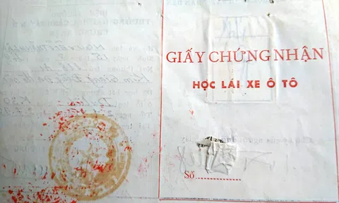 Giấy phép lái xe và 5 điểm cần biết