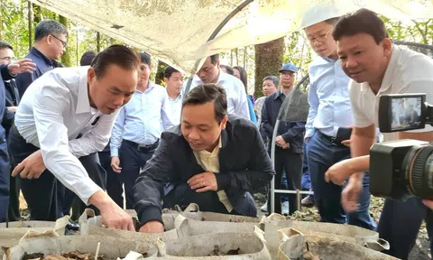 Đoàn công tác Bộ Nông nghiệp và Phát triển nông thôn làm việc tại tỉnh Lai Châu