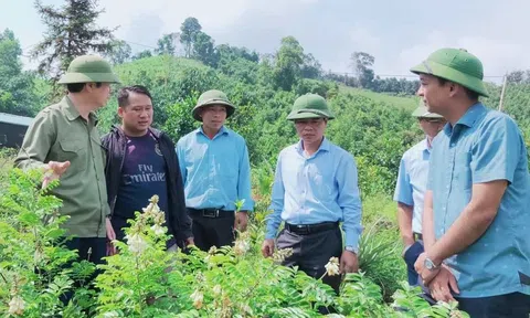 Huyện Ba Chẽ (Quảng Ninh) nhiều cách làm trong Xây dựng nông thôn mới