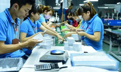 Kinh tế tuần hoàn là một trong những mô hình phát triển bền vững