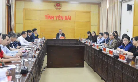 Yên Bái: Khởi động Đề án “Hỗ trợ Hợp tác xã do phụ nữ tham gia quản lý, tạo việc làm cho lao động nữ đến năm 2030”