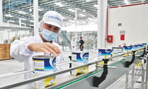 Những Lợi ích kinh tế tuần hoàn đem lại