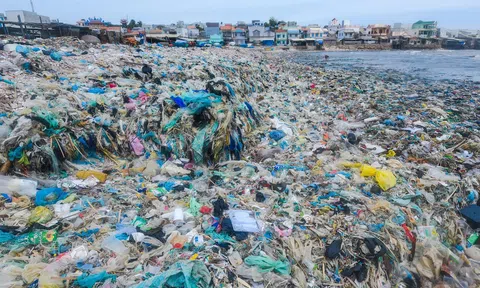 Thúc đẩy tái sử dụng, tái nạp trong thực hiện kinh tế tuần hoàn