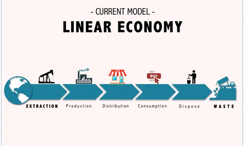 Hậu quả Kinh tế tuyến tính (Linear Economy)