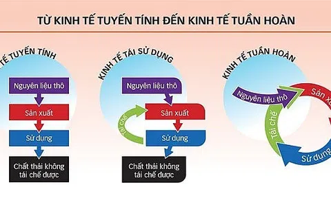 Từ Kinh tế tuyến tính đến Kinh tế tuần hoàn