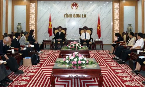 Đoàn chuyên gia tổ chức IFPaT Nhật Bản làm việc tại tỉnh Sơn La