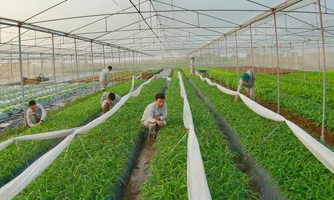 Những khó khăn khi thực hiện mô hình tăng trưởng xanh ở Việt Nam