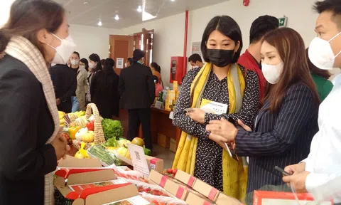 Tiêu chí và phân hạng mới đối với sản phẩm OCOP