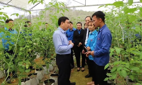 Hà Giang: Phó Bí thư Tỉnh ủy Nguyễn Mạnh Dũng kiểm tra một số mô hình phát triển kinh tế của đoàn viên thanh niên huyện Bắc Quang