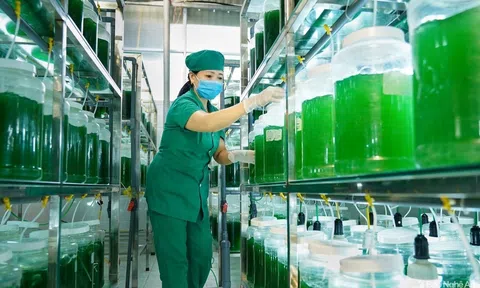 Nhiều sản phẩm OCOP của Nghệ An được khách hàng ưa chuộng