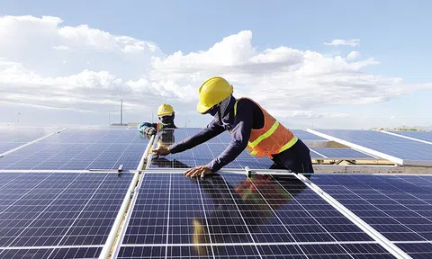 Tạo điều kiện cho tư nhân đầu tư để thực hiện chiến lược tăng trưởng xanh