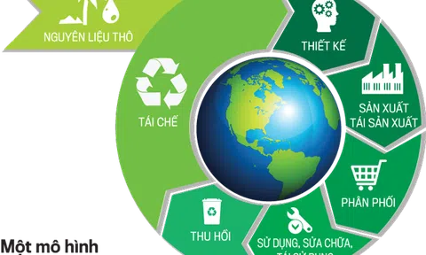 Từ kinh tế tuần hoàn tới nền kinh tế xanh ở Việt Nam