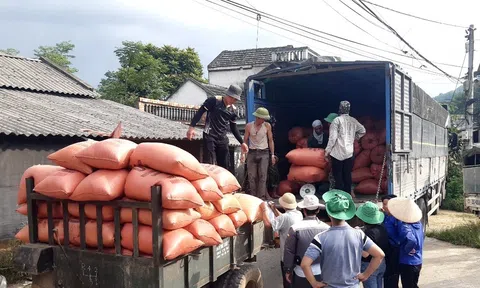 Bắc Kạn: Chuyển đổi mô hình theo hướng hữu cơ, huyện Bạch Thông bội thu