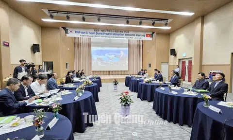 Tuyên Quang đẩy mạnh quan hệ hợp tác với huyện Imsil, Hàn Quốc