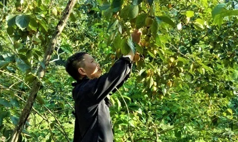 Bắc Kạn tự tin triển khai chương trình OCOP - "Mỗi xã, phường một sản phẩm"