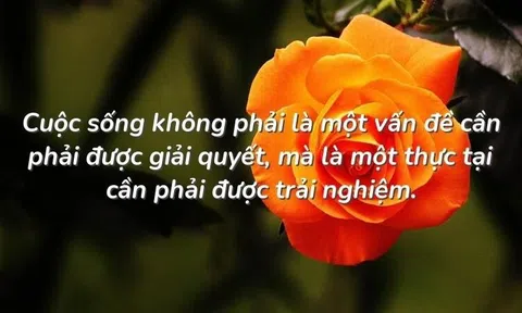 Kinh nghiệm hữu ích có thể áp dụng suốt cuộc đời