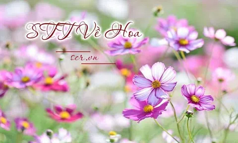 Sống trên đời nên khắc cốt ghi tâm những nguyên tắc gì?