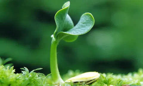 Tử tế và những điều cần học