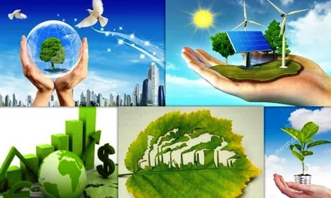 Các nhà đầu tư tư nhân với chiến lược tăng trưởng xanh